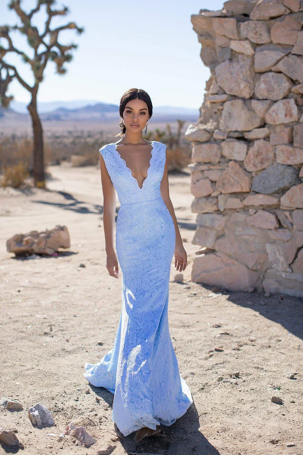 Elegant Sleeveless V Neck Backless Lace Brush Train Prom Dresses - Image 3