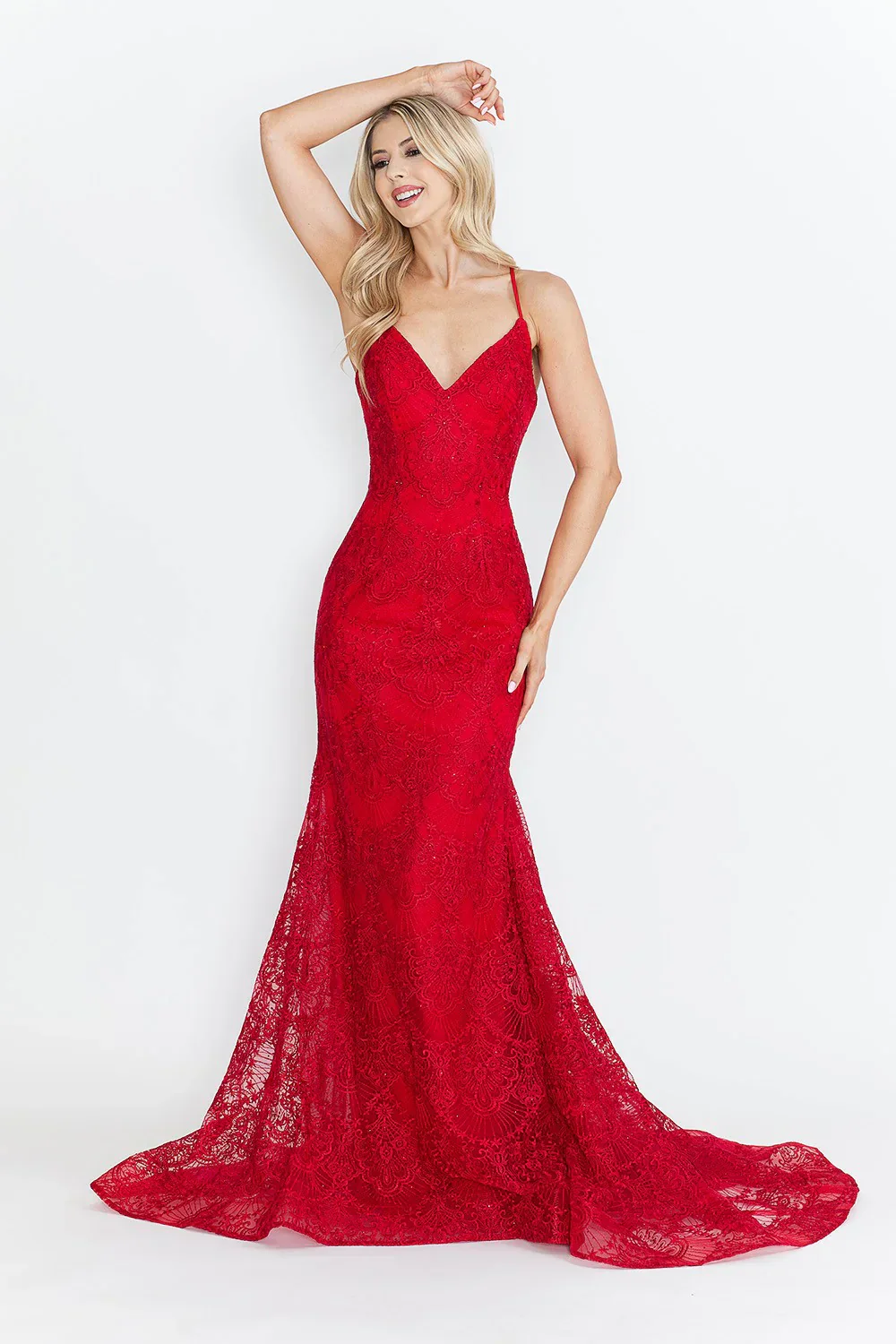 Lace Embroidered Long Formal Dress - Image 4